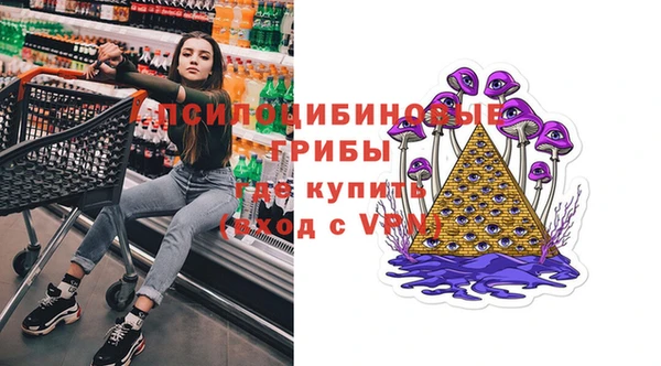 Альфа ПВП Пересвет