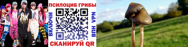 Галлюциногенные грибы мицелий  наркота  Тихвин 
